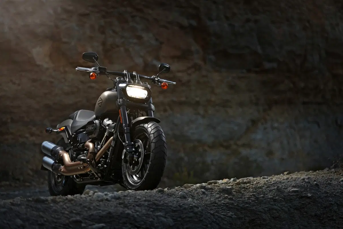 Harley-Davidson Sotftail 2018 (55)