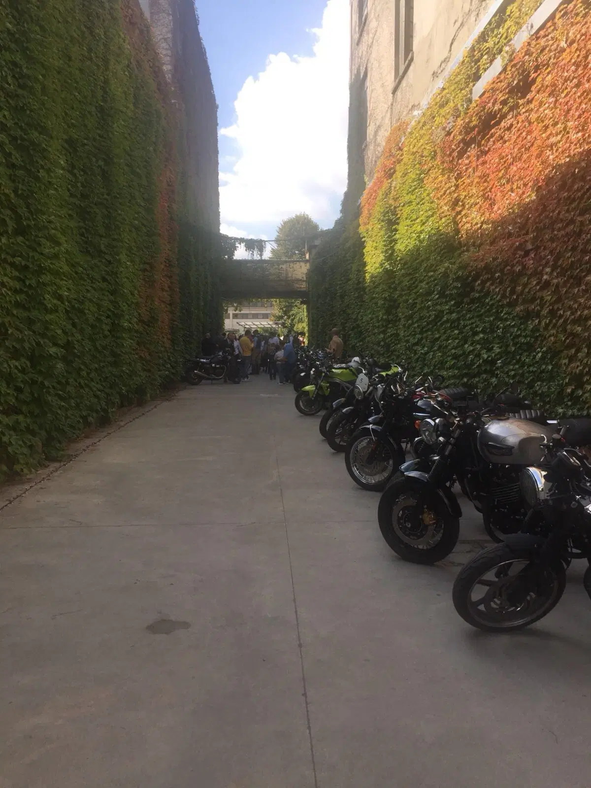 The Distinguished Gentleman’s Ride 2017: raccolti quasi 5 milioni di dollari (5)