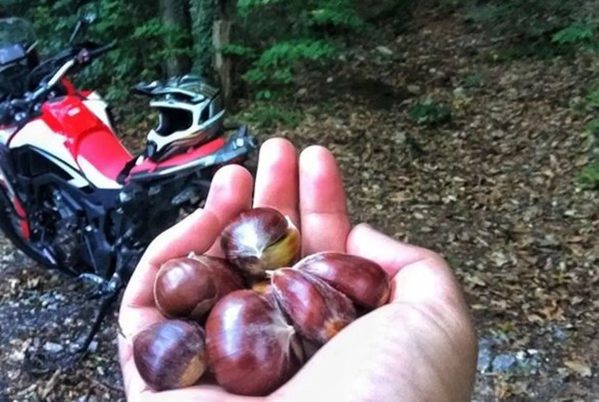 #DunlopEveryRide: tutte le vostre foto! (12)
