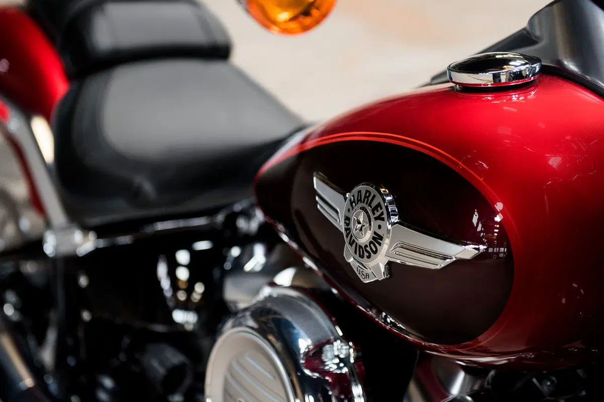 Harley-Davidson Softail 114 Fat Boy (2018 - 20) - FLFBS (5)