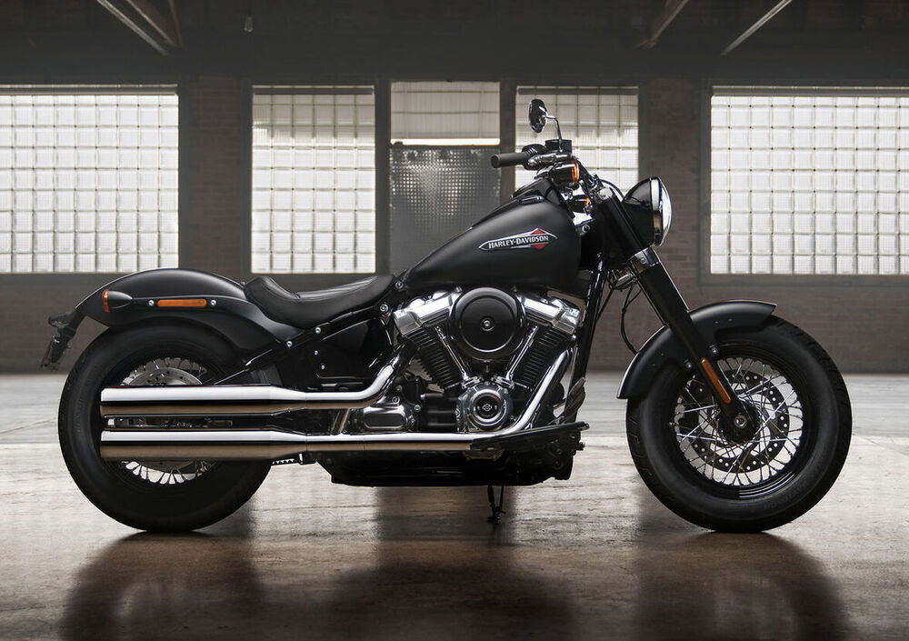 Harley-Davidson 107 Slim (2018 - 20) - FLSL (2)