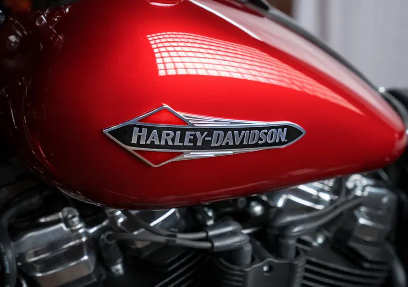 Harley-Davidson Softail 107 Slim (2018 - 20) - FLSL (5)