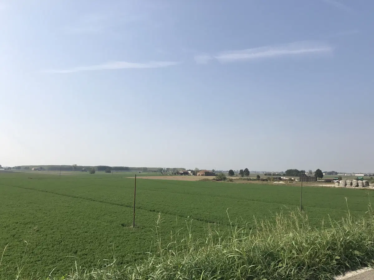 In viaggio con Camilla: Terre Verdiane e Colli Piacentini (11)