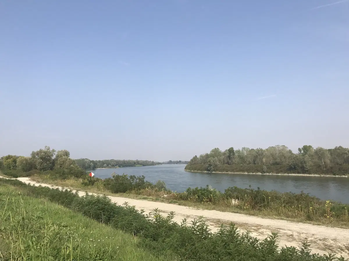 In viaggio con Camilla: Terre Verdiane e Colli Piacentini (21)