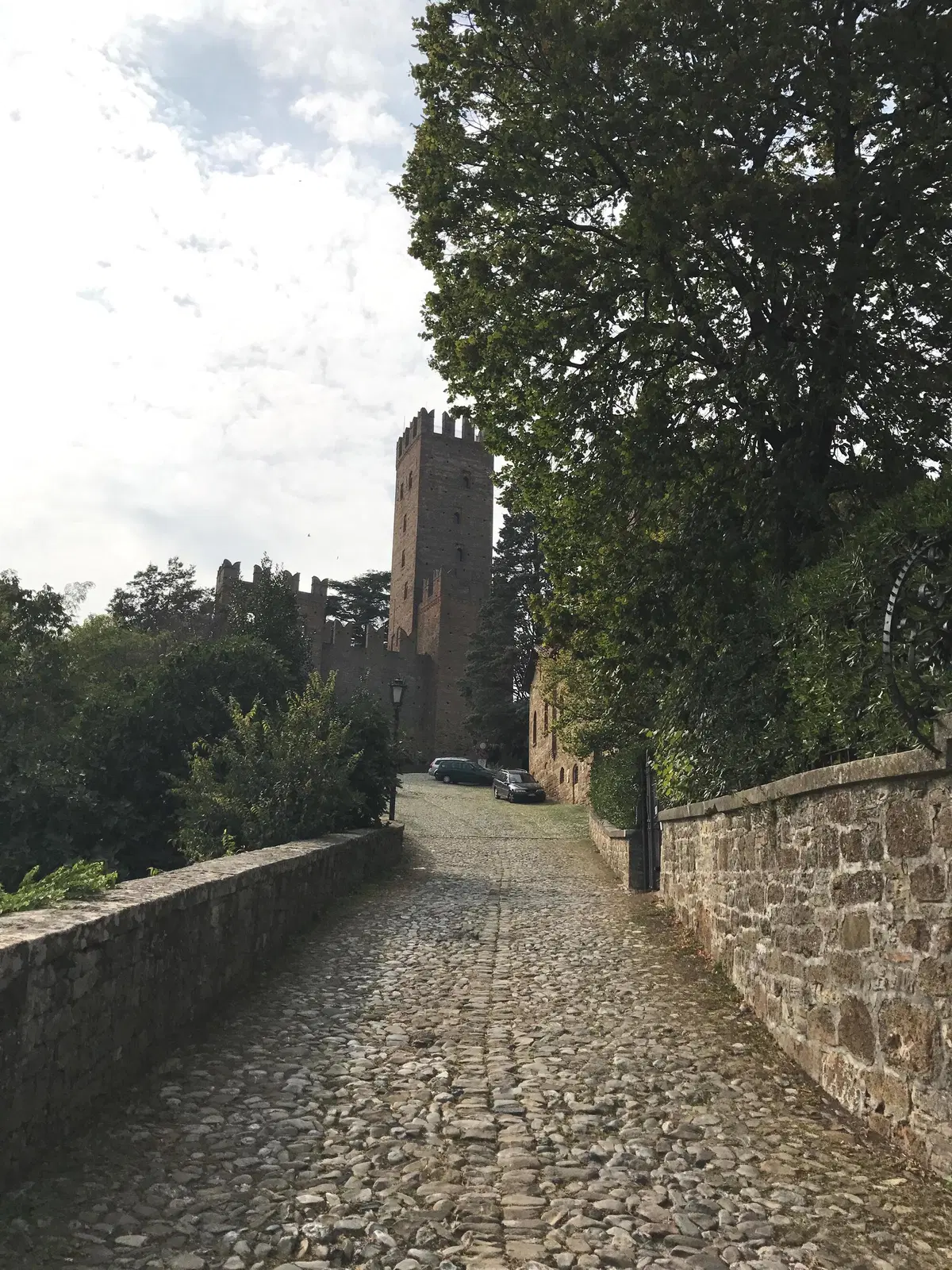 In viaggio con Camilla: Terre Verdiane e Colli Piacentini (29)