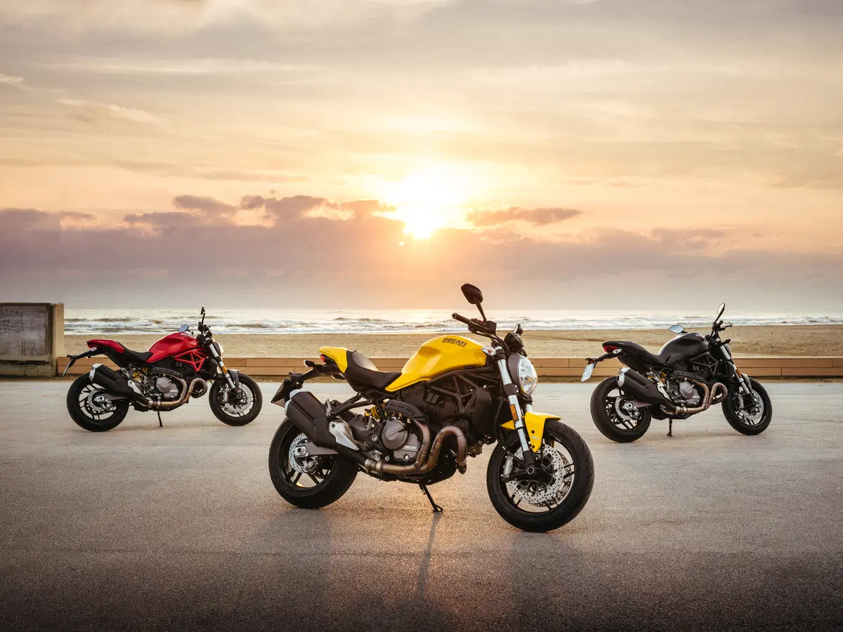 Ducati Monster 821 Monster 821 (2018 - 20) (4)