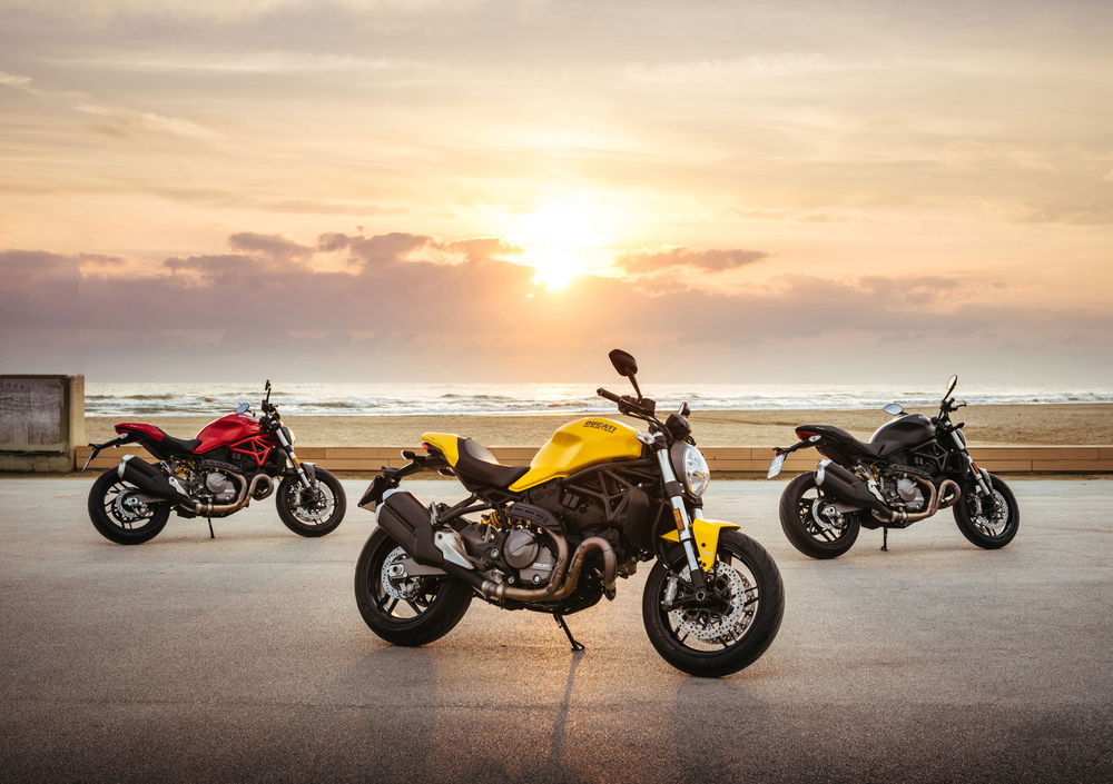 Ducati Monster 821 (2018 - 20) (4)