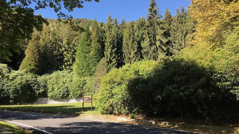 In viaggio con Camilla: Panoramica Zegna
