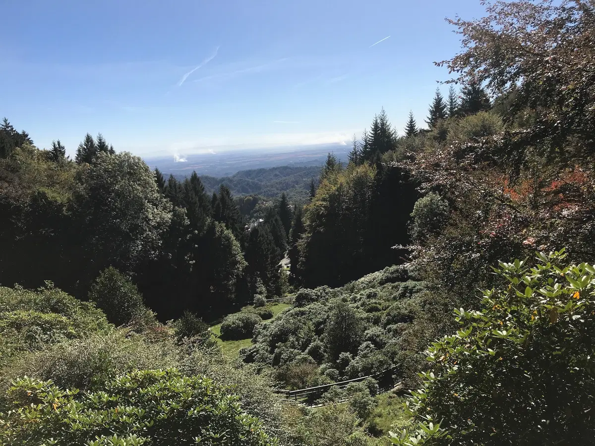 In viaggio con Camilla: Panoramica Zegna (3)