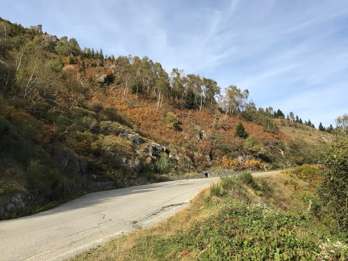In viaggio con Camilla: Panoramica Zegna (9)