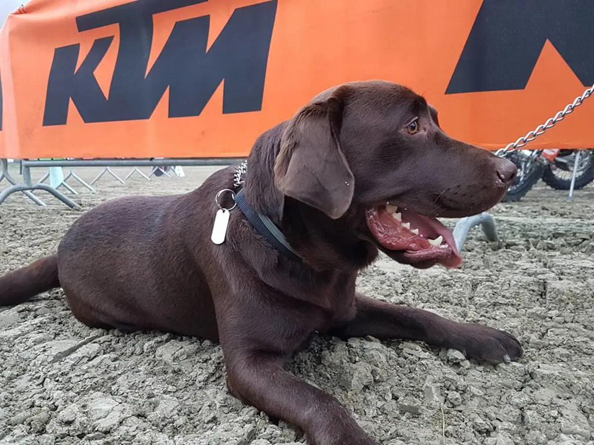 Trofeo Enduro KTM: gran finale a Savignano nella terra dei motori! (4)
