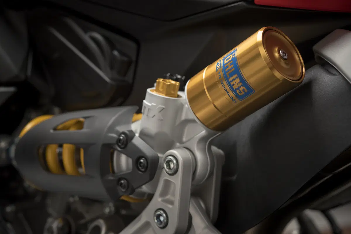 Ducati 959 Panigale 959 Panigale Corse (2018 - 19) (9)