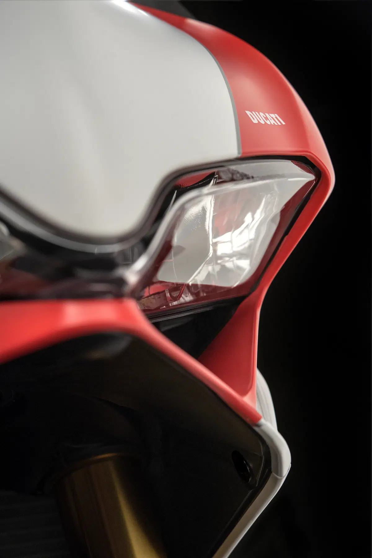 Ducati 959 Panigale 959 Panigale Corse (2018 - 19) (18)