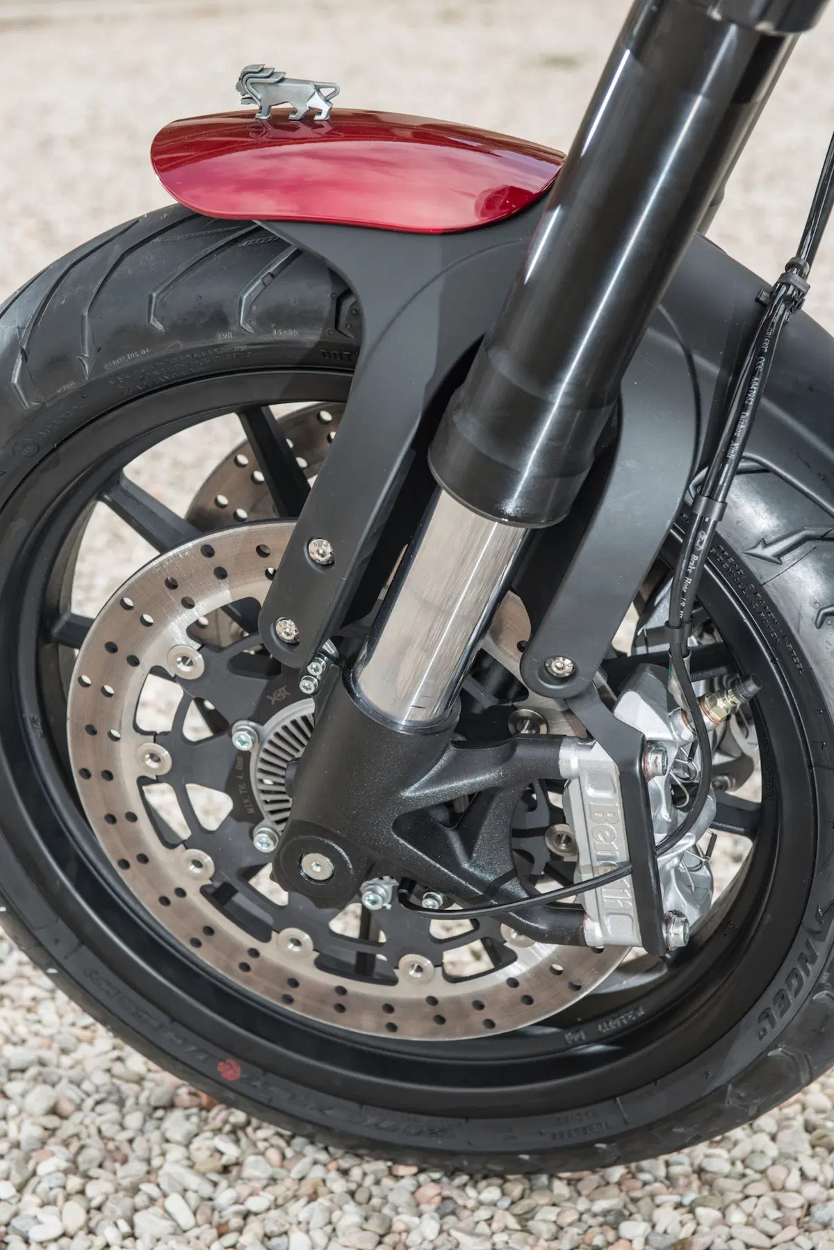 Benelli Leoncino 500 (6)