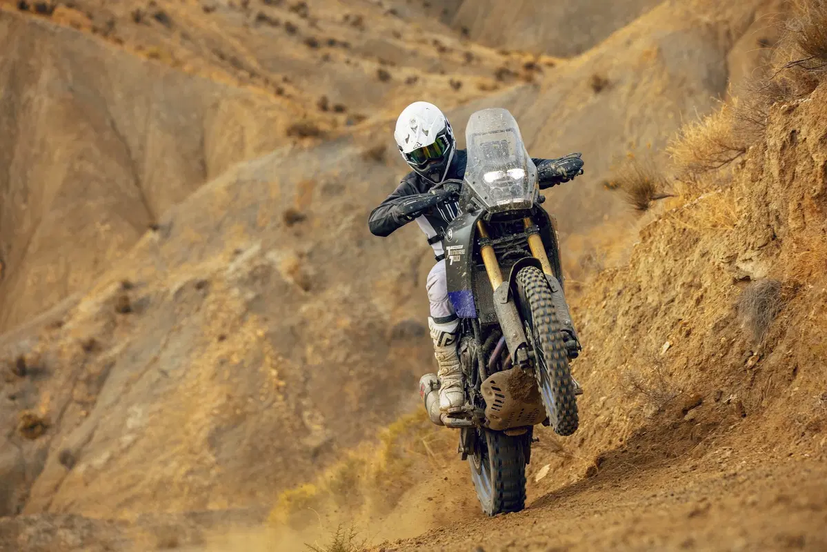 EICMA 2017: Yamaha Ténéré 700 World Raid, foto e dati (11)