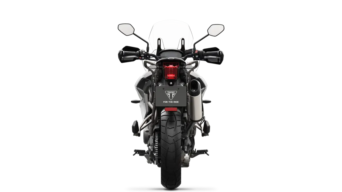 Triumph Tiger 800 Tiger 800 XRx (2018 - 20) (14)