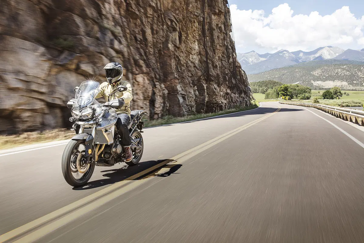 Triumph Tiger 800 Tiger 800 XRt (2018 - 20) (18)