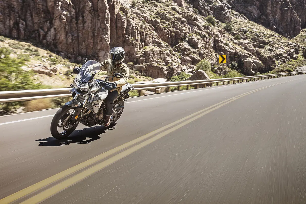 Triumph Tiger 800 Tiger 800 XRt (2018 - 20) (19)