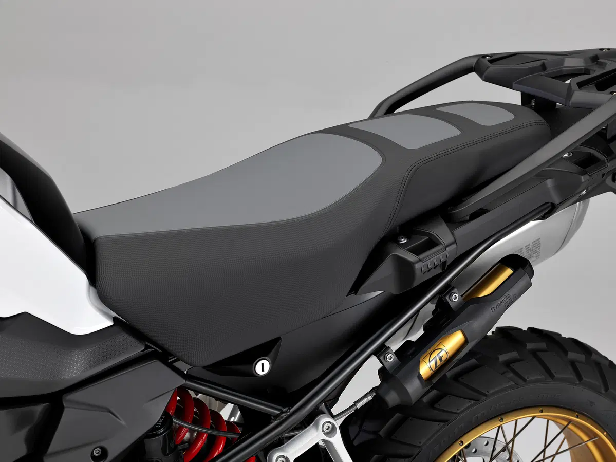 Bmw F 850 GS F 850 GS (2018 - 20) (39)