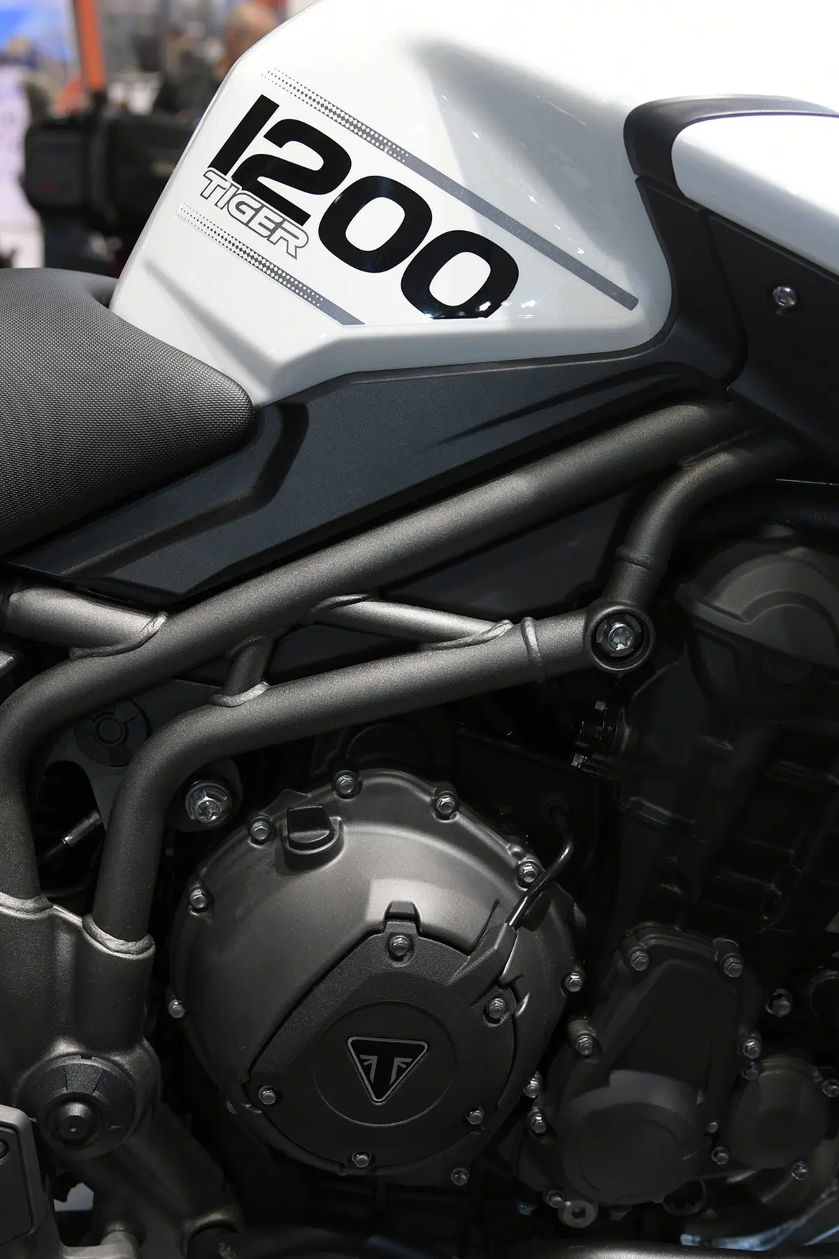 EICMA 2017: Triumph Tiger 1200, foto e dati (79)