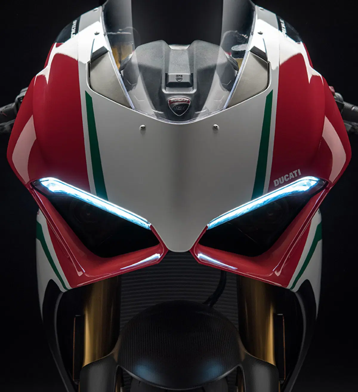Ducati Panigale V4 Panigale V4 Speciale 1100 (2018 - 19) (2)