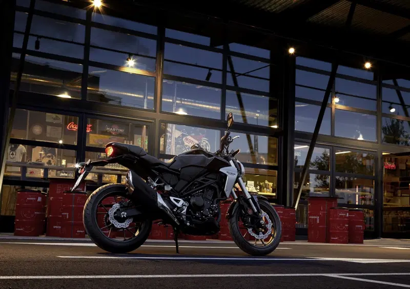 Honda CB 300 R CB 300 R (2018 - 19) (8)