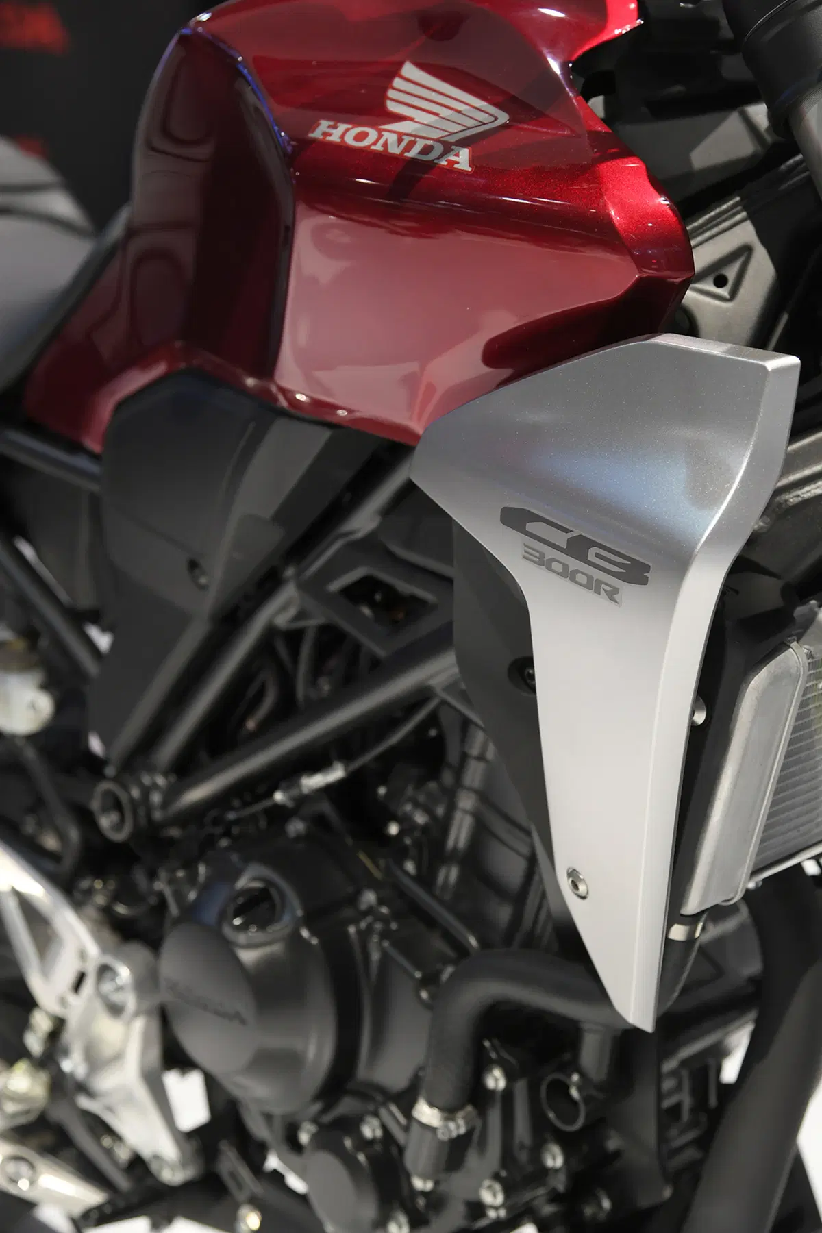 Honda CB 300 R CB 300 R (2018 - 19) (19)