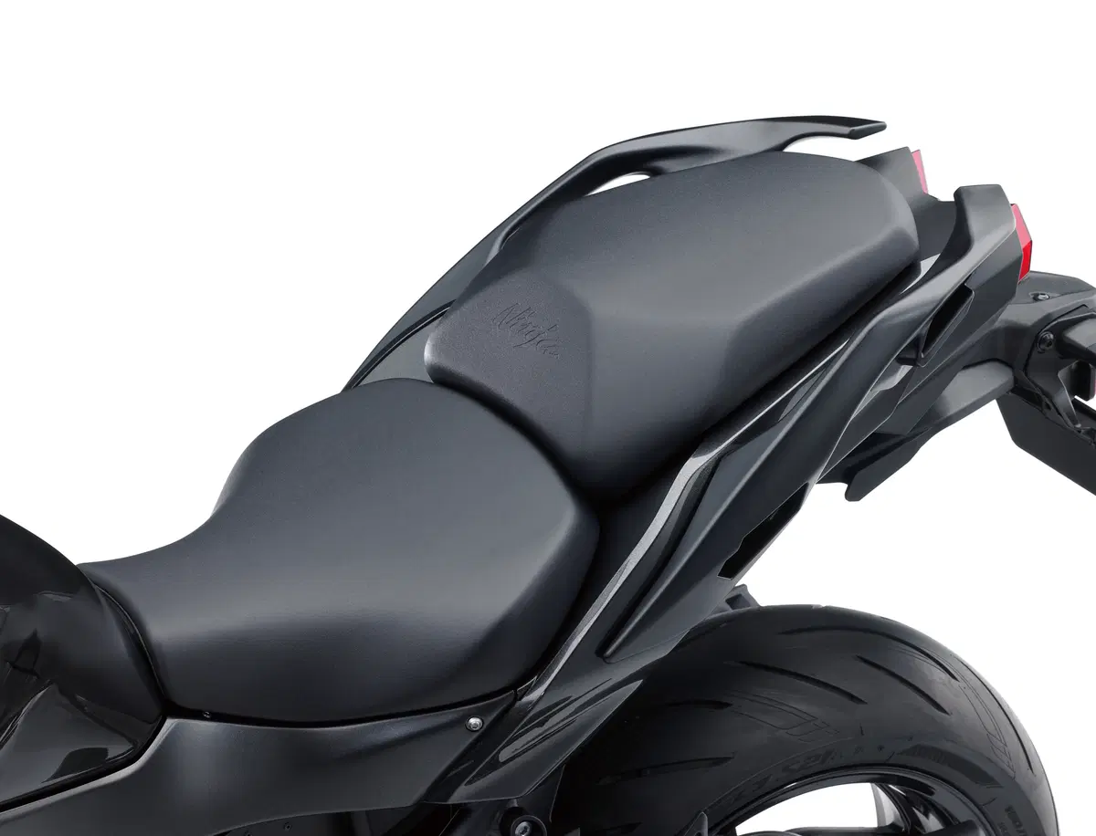 Kawasaki Ninja H2 SX Ninja H2 SX (2018 - 20) (5)