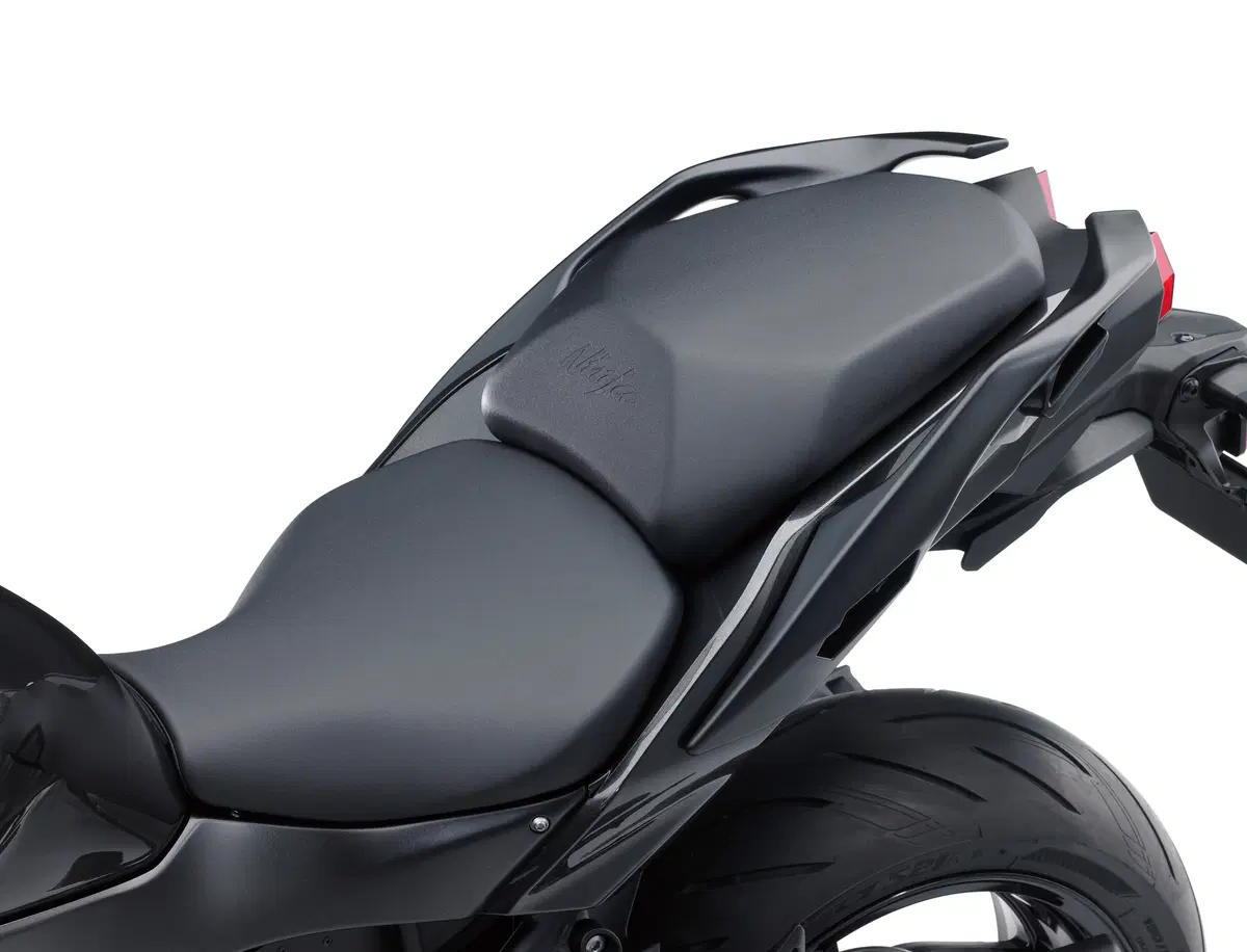 Kawasaki Ninja H2 SX Ninja H2 SX (2018 - 20) (6)