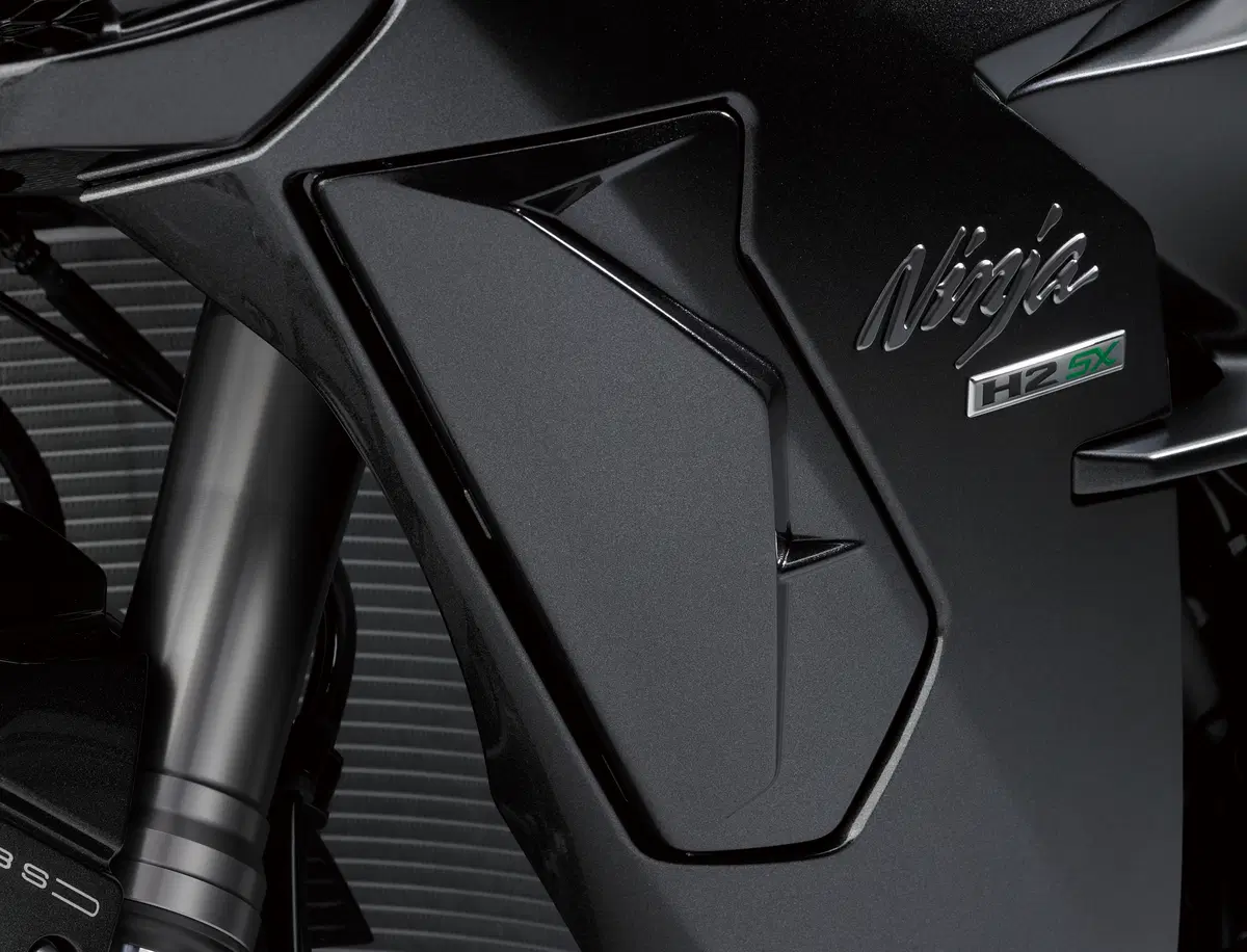 Kawasaki Ninja H2 SX Ninja H2 SX (2018 - 20) (7)