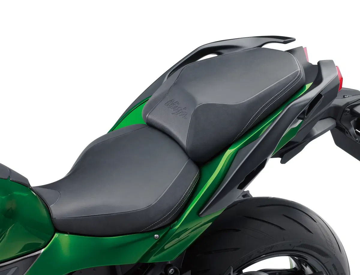 Kawasaki Ninja H2 SX Ninja H2 SX SE (2018 - 20) (16)