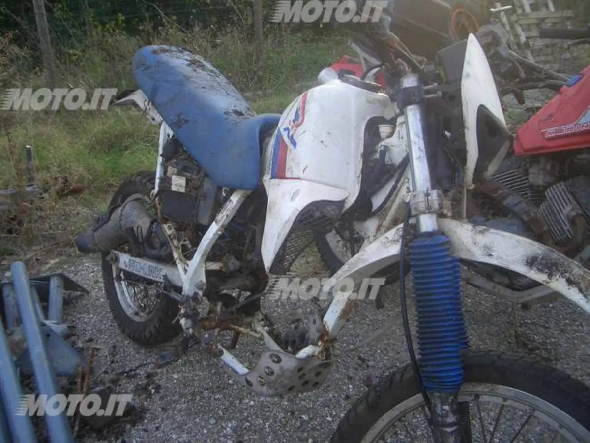 Honda XL 600 RM (2)