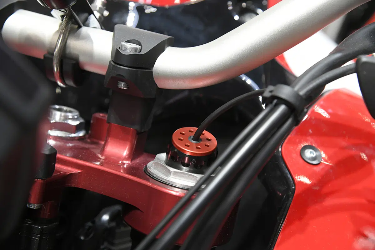 EICMA 2017: Showa EERA (2)