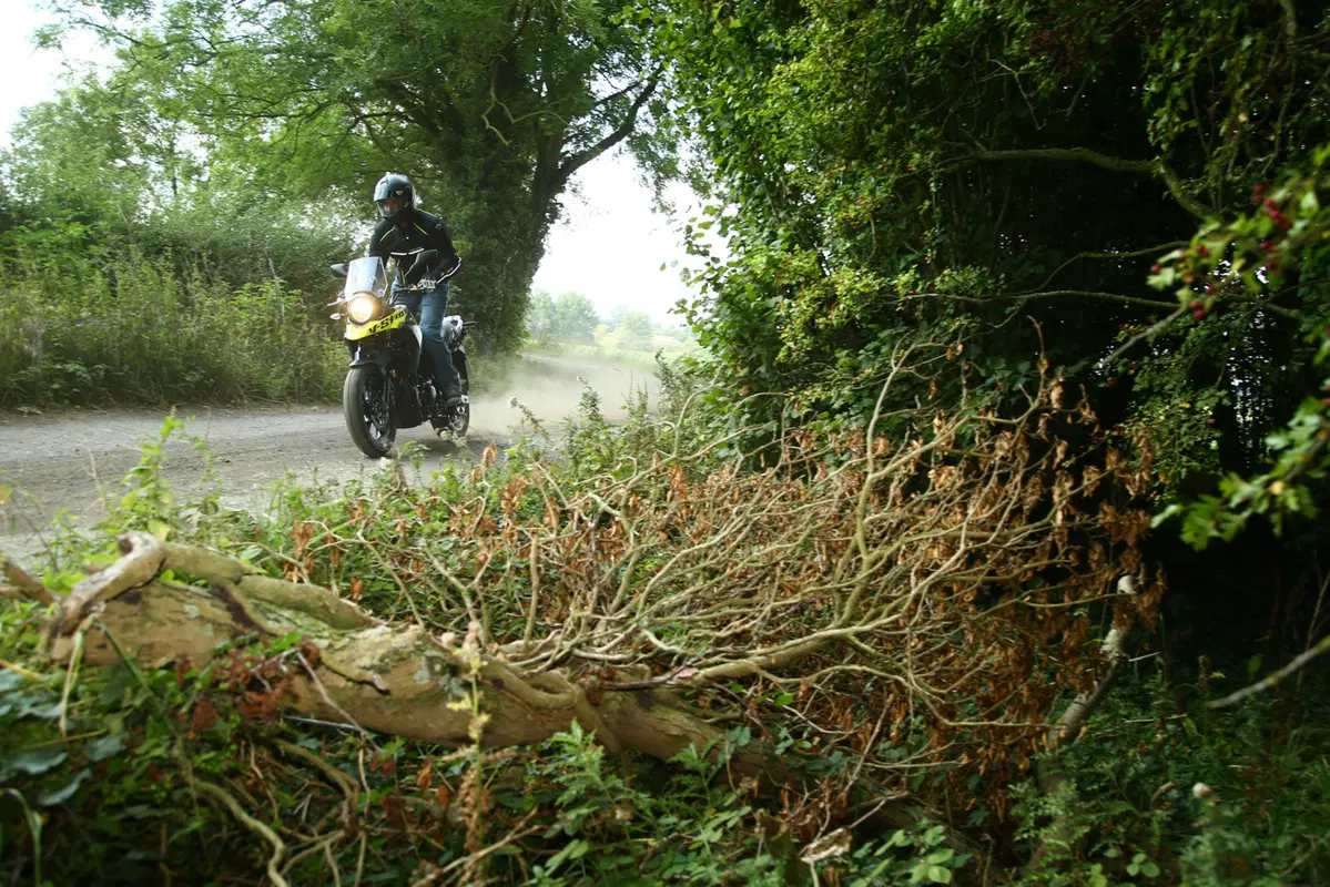 Suzuki V-Strom 250 (11)