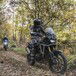 True Adventure Offroad Academy, corsi per maxienduro by Honda