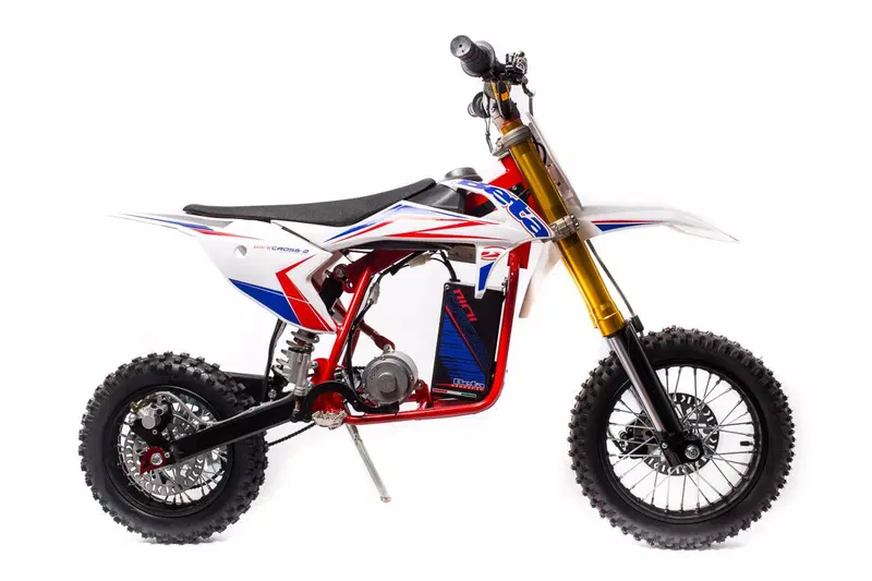 Betamotor Minicross-E (2018 - 19) (3)