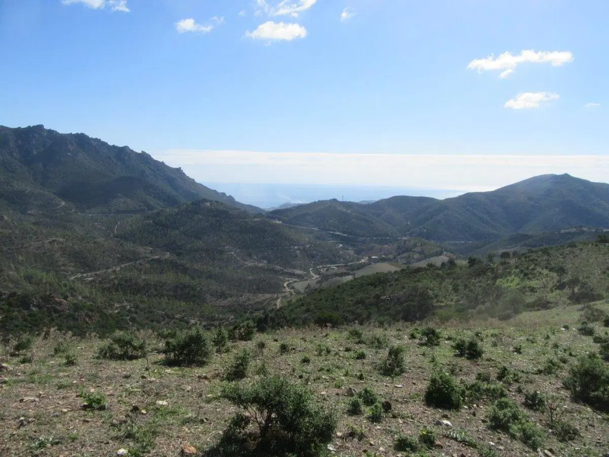 Sardegna Rally race, si conclude l'edizione del decennale (9)