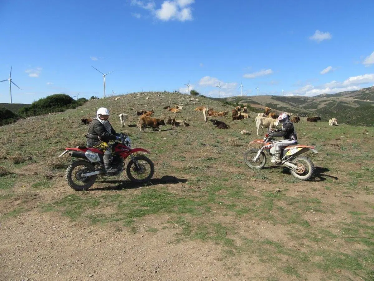 Sardegna Rally race, si conclude l'edizione del decennale (21)