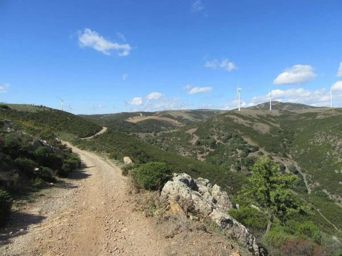 Sardegna Rally race, si conclude l'edizione del decennale (24)