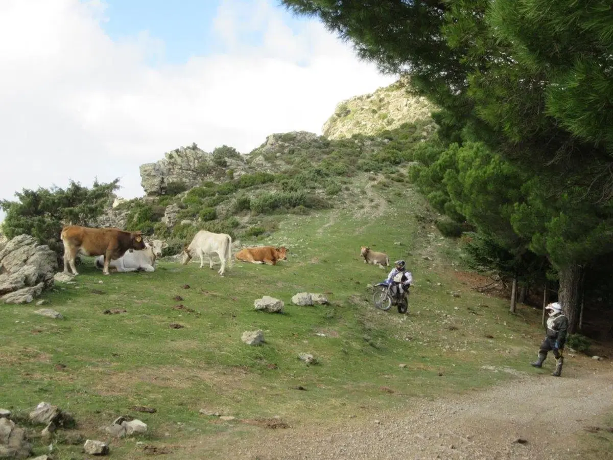 Sardegna Rally race, si conclude l'edizione del decennale (35)