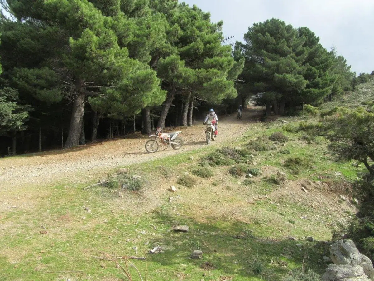 Sardegna Rally race, si conclude l'edizione del decennale (36)