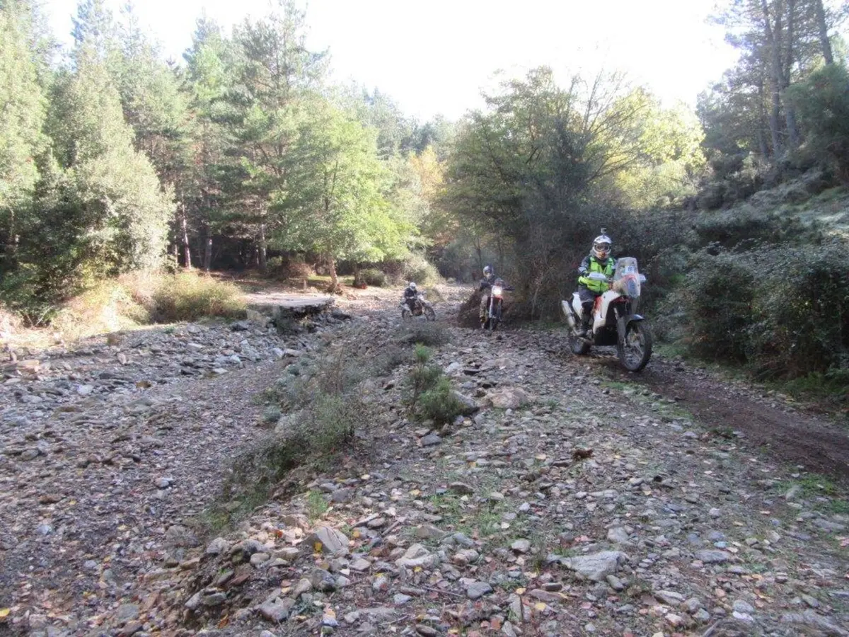 Sardegna Rally race, si conclude l'edizione del decennale (37)