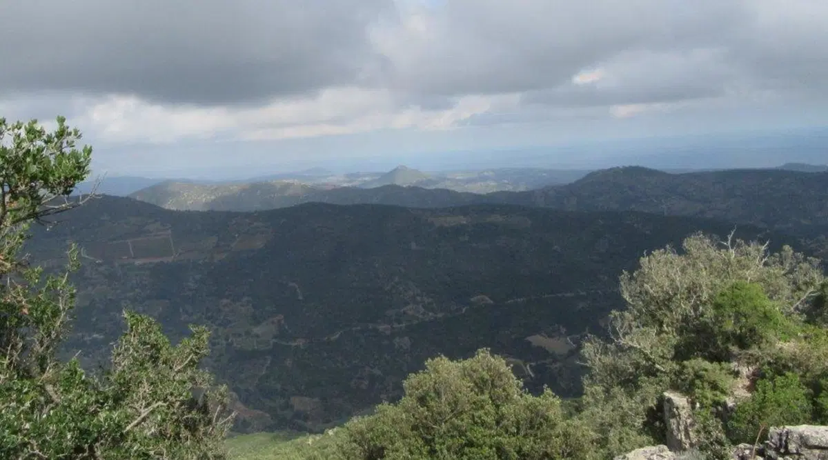 Sardegna Rally race, si conclude l'edizione del decennale (50)