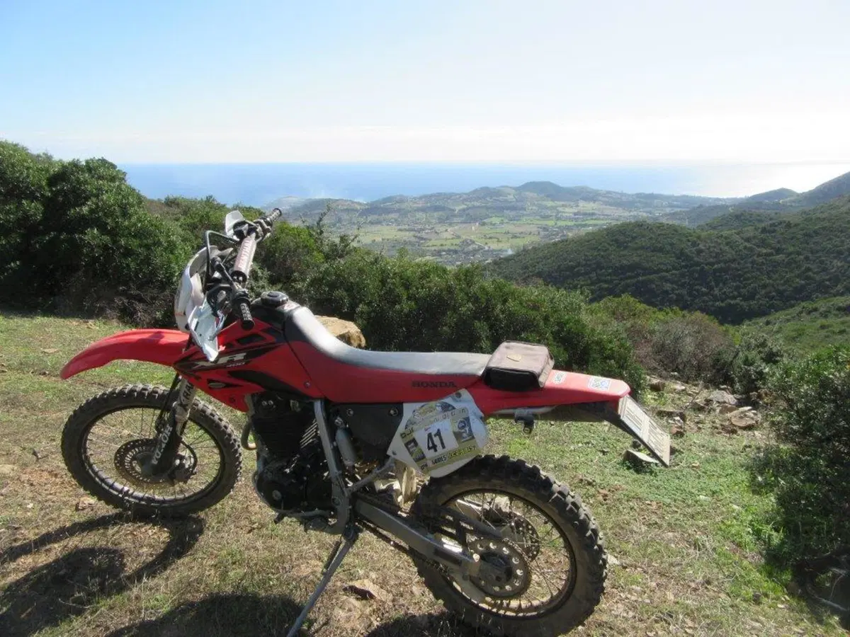 Sardegna Rally race, si conclude l'edizione del decennale (51)