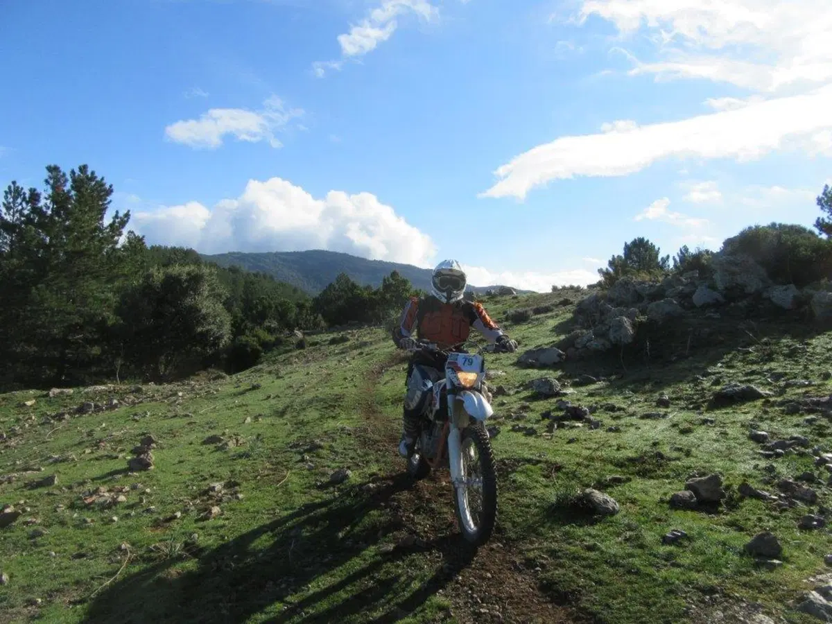 Sardegna Rally race, si conclude l'edizione del decennale (55)