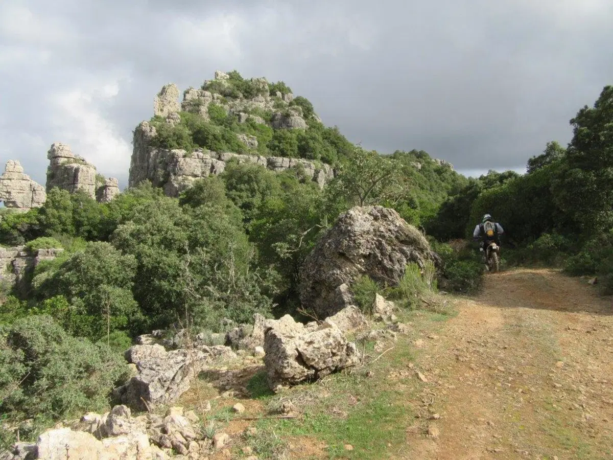 Sardegna Rally race, si conclude l'edizione del decennale (58)