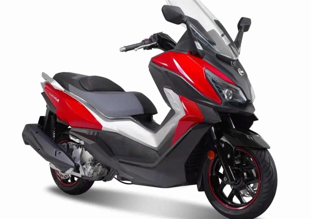 Sym Cruisym 300 (2021 - 24) (7)
