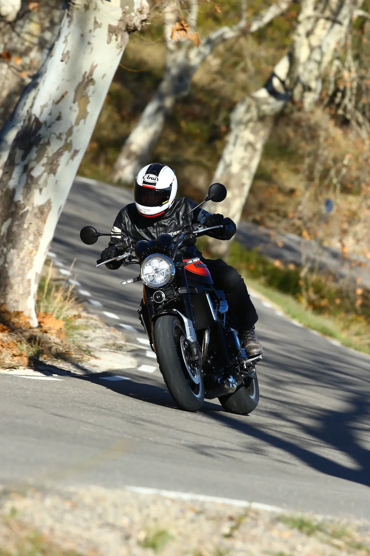 Kawasaki Z900RS: Retrò ma non troppo (11)