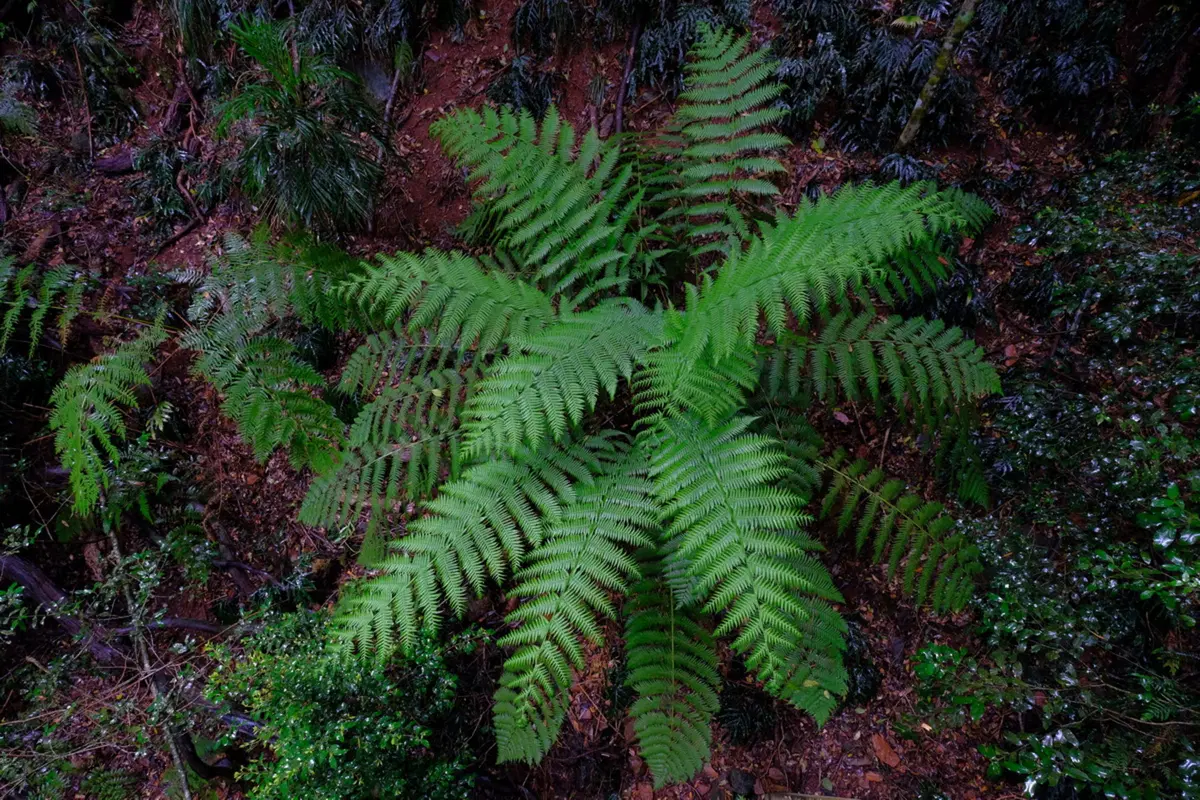 Planet Explorer 11: Australia - Day 2 (9)