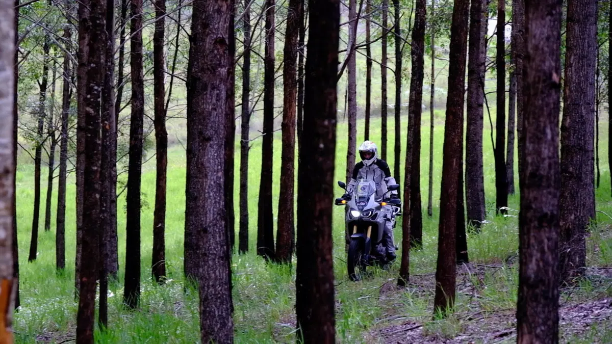 Planet Explorer 11: Australia - Day 3 (5)